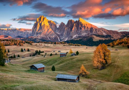 Tradition Land Südtirol Seiser Alm Webseite Web Agentur Südtirol